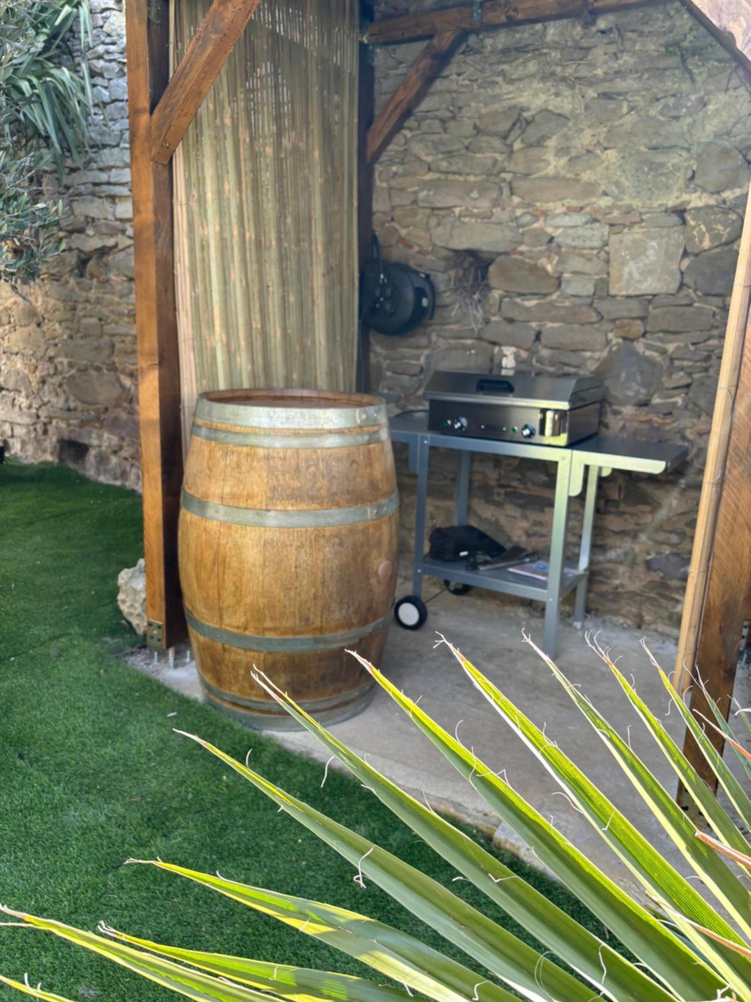 Сasa de vacaciones La Vade Carcasona